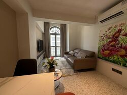 Mohamed Sultan Road (D9), Shop House #459053541